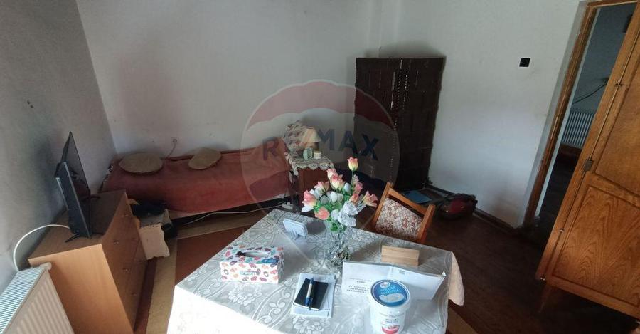 Casa de vanzare in stil vechi cu 3 camere si 3 arii i... - 7