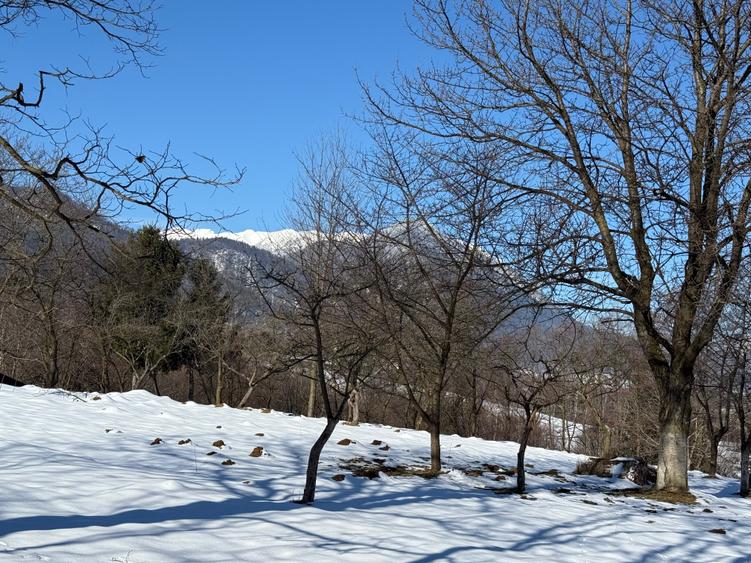 Teren intravilan 763 mp in zona Bran-Tohanita,judetul Brasov - 1