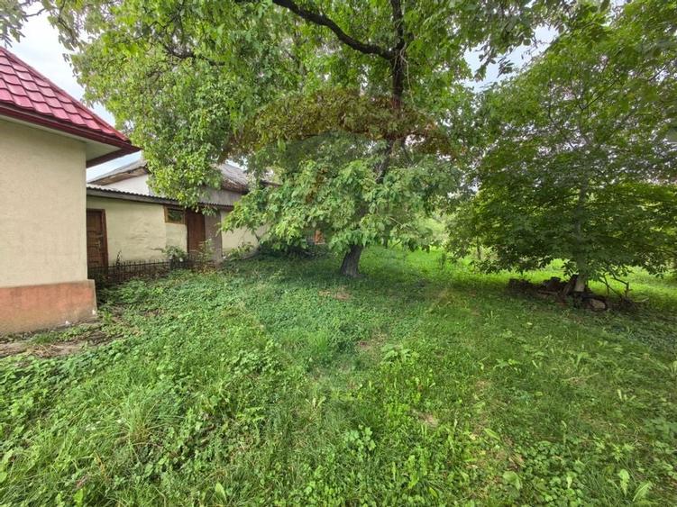 Casa traditionala De Vanzare cu 5 Hectare de teren - 8