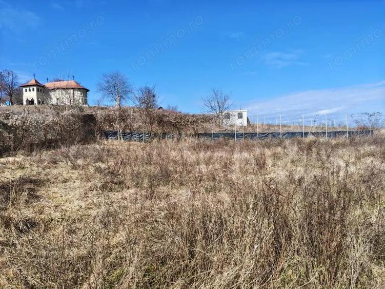 Teren superb Fantanele - 4