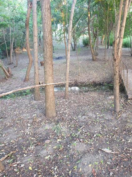 Teren intravilan cu relief spectaculos, tip munte Malu Mare parau - 1