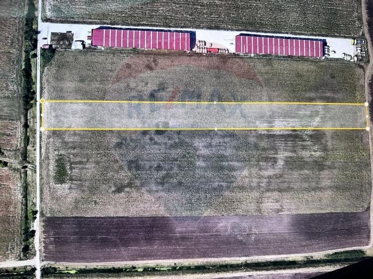 Teren 10,000mp Otopeni / Drumul Garii Odai - 1