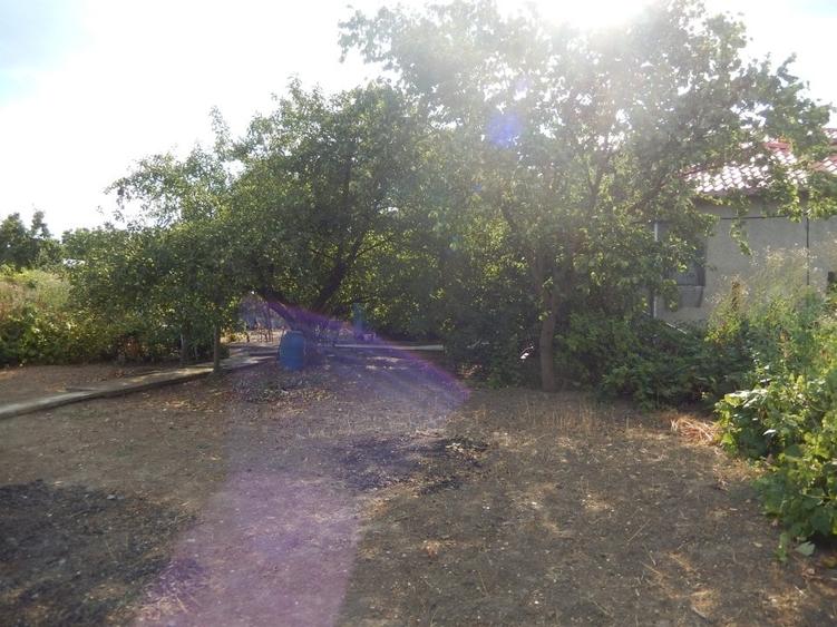 Calugareni-Branistari-casa 4 camere, teren 1965 mp, curent, put, libera,69900 € - 33