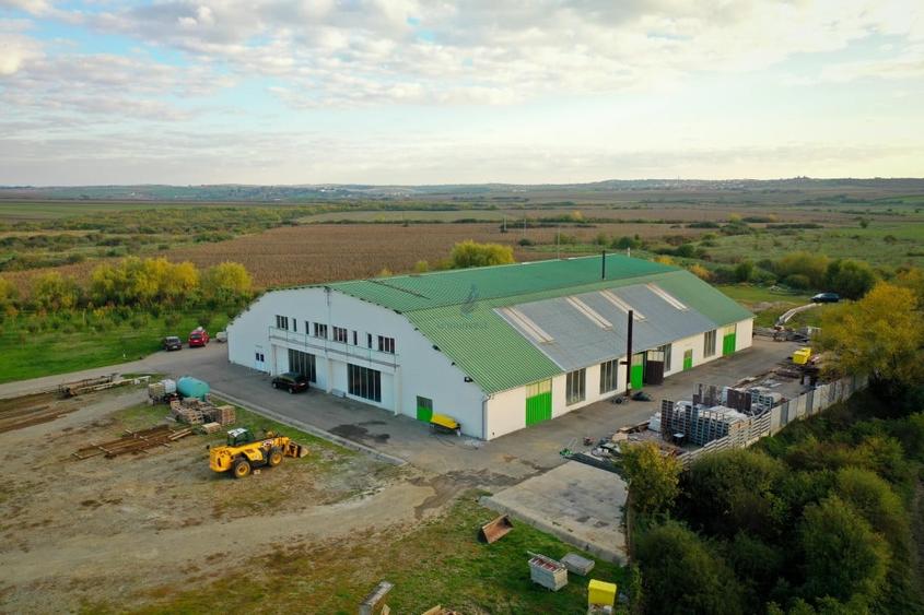 Gaminvest Hala industriala de vanzare in Biharia, Bihor, Romania,V3046 - 3