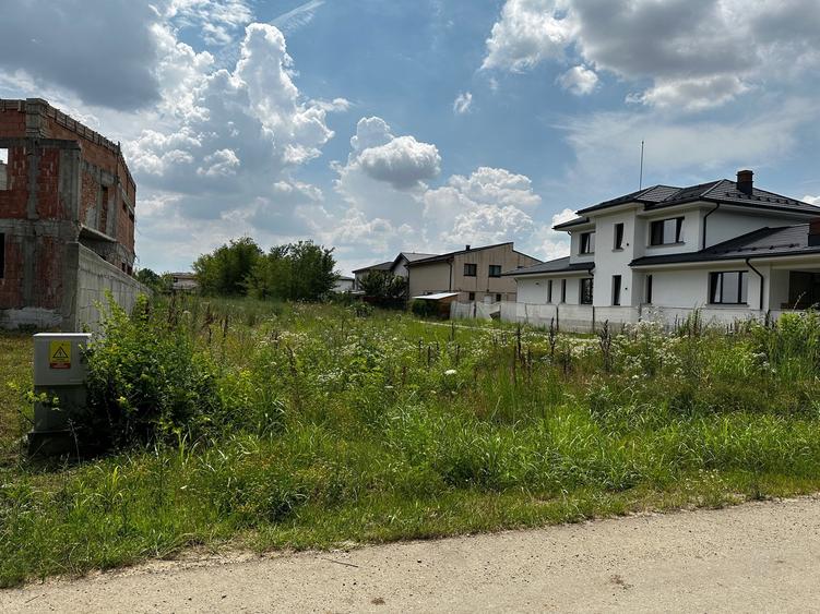 Moara Vlasiei -Laguna Verde - 1