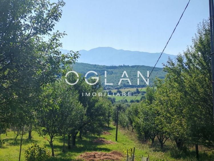 Terenul pe care se cladeste visul tau - Tocile, Sibiu - 6