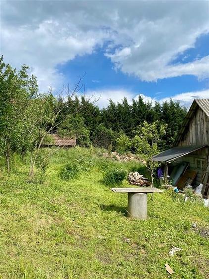 TEREN SI CASA UILEACUL DE MUNTE | 2.215MP - 9