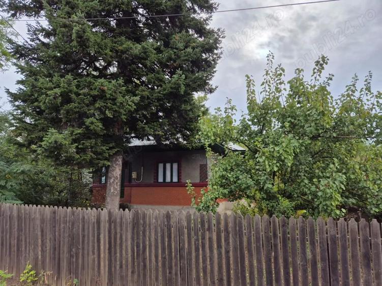 Casa cu teren 3.682 mp, sat Radu Voda (com. Lupsanu, jud. Calara?i) - 4