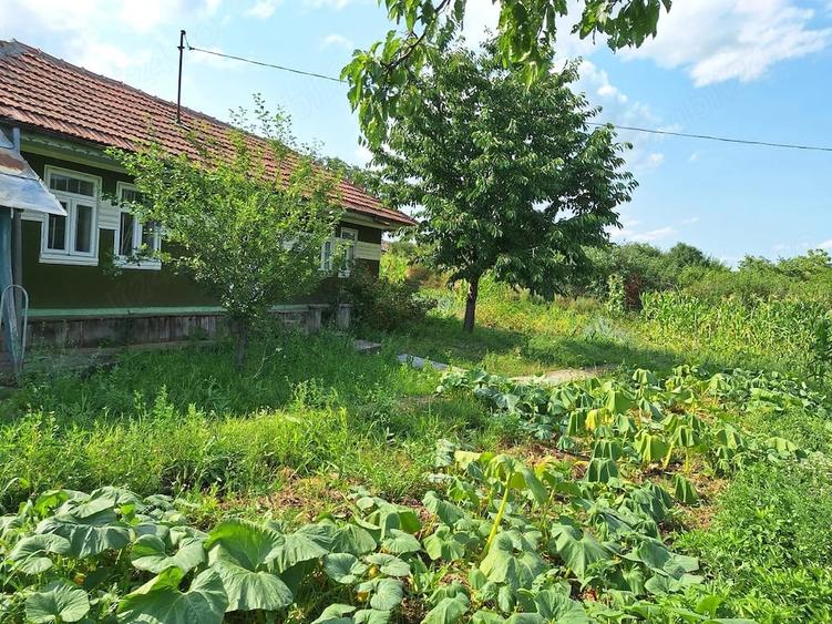 Teren de 2170 mp, în Central