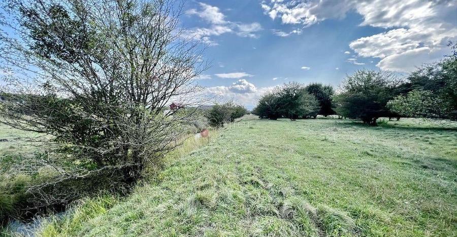 Teren Extravilan - 18