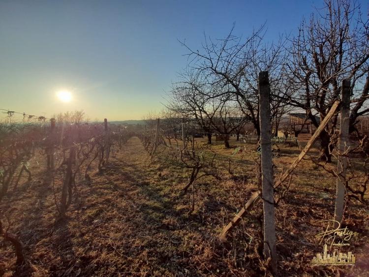 Teren intravilan 6050 mp cu priveliste asupra orasului, str. Gh. Doja - 2