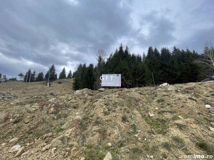 Teren parcelabil cu acces rapid la lacul Colibita - 3