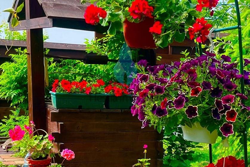 Vila eleganta P+E+M si 550mp teren, Bucium-Iasi. - 8