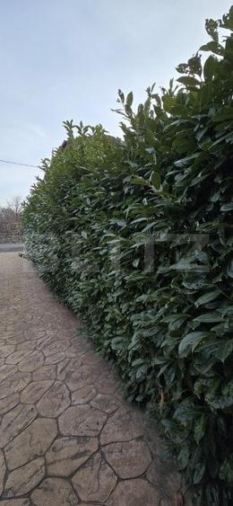 Casa deosebita cu 3 dormitoare si jacuzzi, aproape de statiunea Baile Herculane - 20