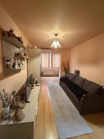 Apartament de vanzare direct de la proprietar Calea Sagului - 2