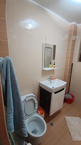 Apartament 2 camere mobilat utilat Doamna Stanca - 10