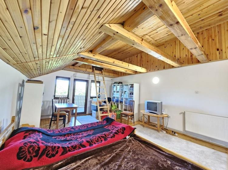 Vila superba de vanzare in Vintila Voda, Buzau D+P+1 si anexe - 30