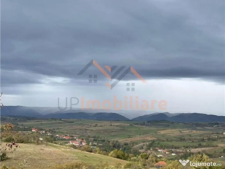 TEREN | 9341 MP | BALNACA GROSI | BIHOR - 5