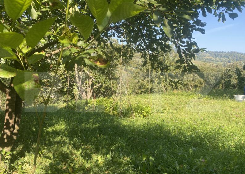 Teren in Doroteia, Plutoni?a, 3880 mp, intravilan - 3