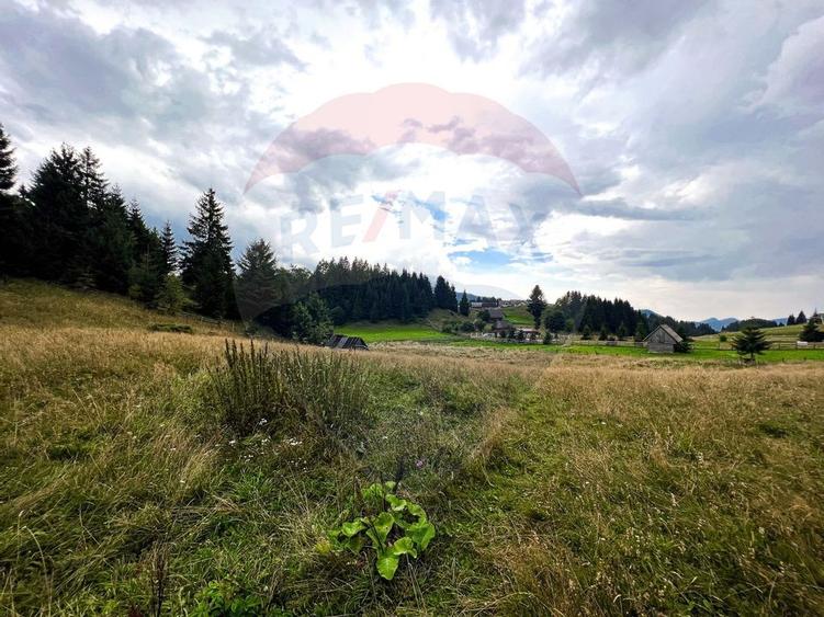 Teren de 7830mp de vanzare in Fundata! Comision 0% - 23