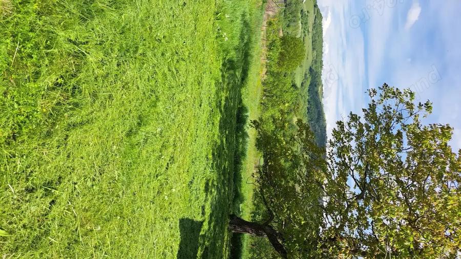 Vand casa Urvi? de Beiu? - 6