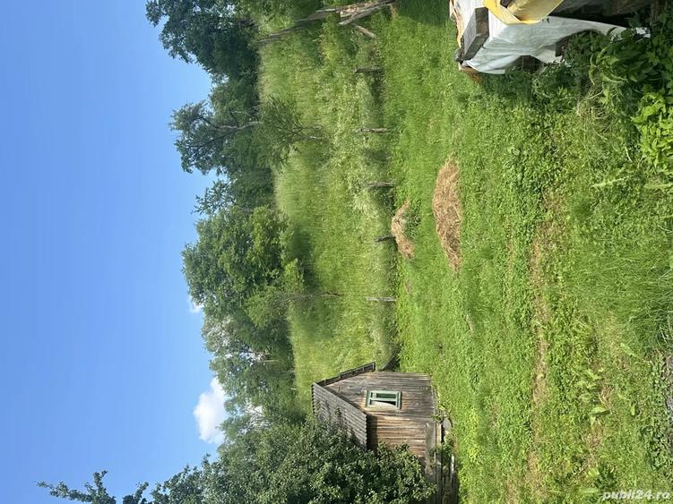 De vanzare casa la ?ara lini?te, natura ?i izvor de apa sarata! - 3