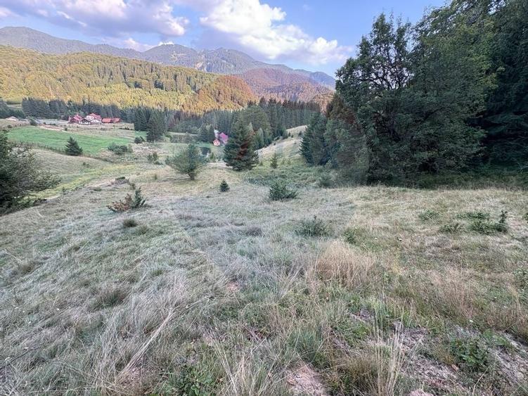 TEREN EXCLUSIV PENTRU INVESTIȚIE ÎN ZONĂ DE AGREMENT – BRAȘOV, DN 1E - 1