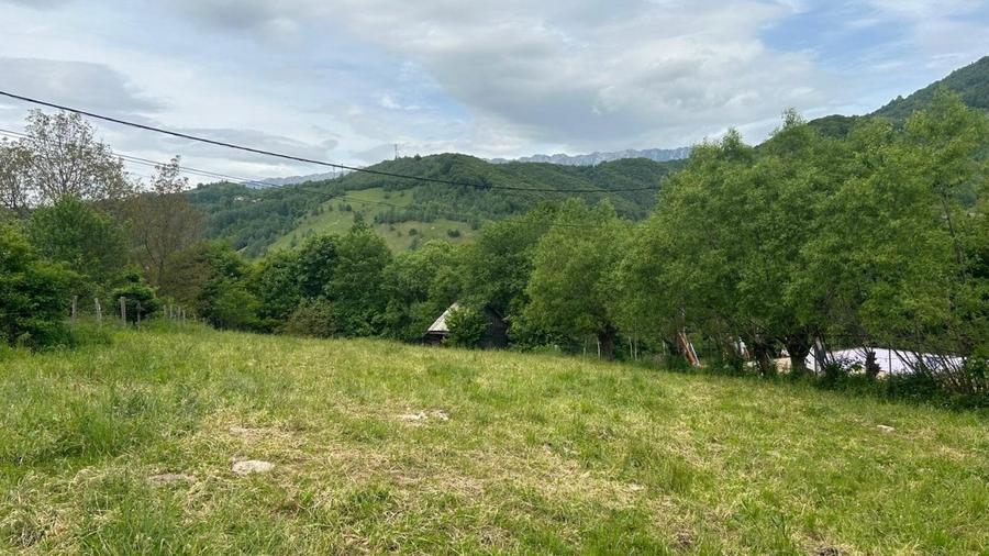 Teren Moieciu cu vedere catre Paitra Craiului - 1