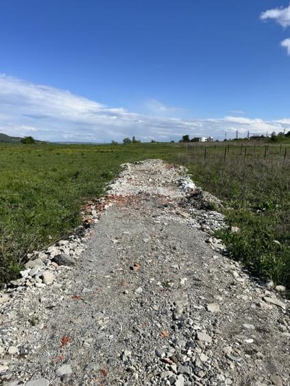 Teren Valea Chintaului / Cluj 5.547mp  parcelabil - 7