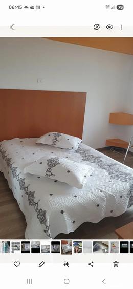 Garsoniera de inchiriat in Paltinis - 7