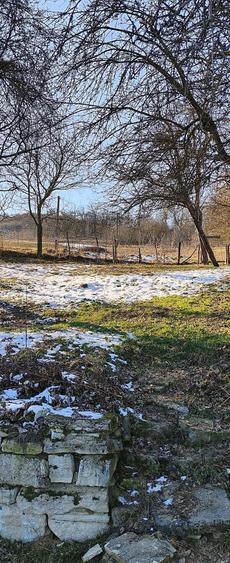 De vinzare casa la tara sat Jichisul de sus - 3