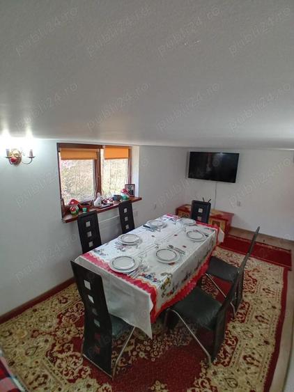 Casa Cheia Baile Olanesti Valcea - 15