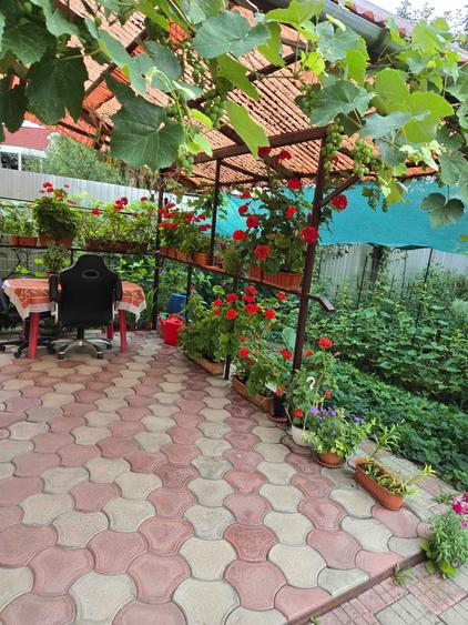 Vand casa individuala Tg Mures zona Libertatii - 5