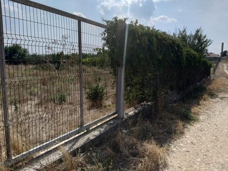 Poiana- str. Cerealelor, teren intravilan curti constructii 3417 mp de vanzare - 5