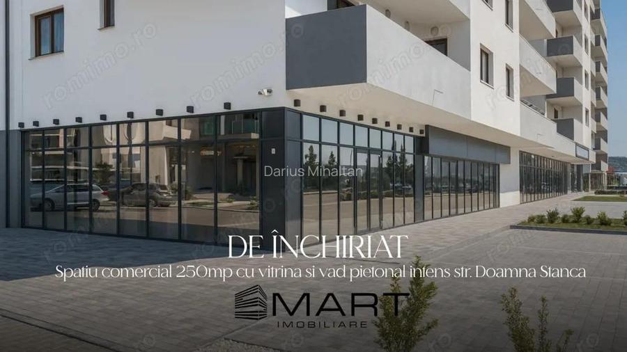 Spatiu comercial 250mp zona Doamna Stanca