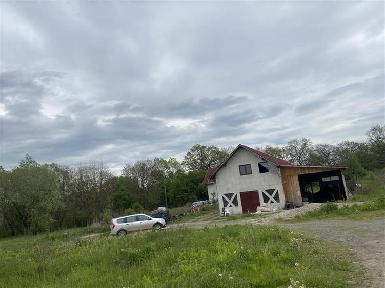 Oportunitate investitie | Teren 10 000 mp cu constructie de 530 mp la 10 km de V - 26