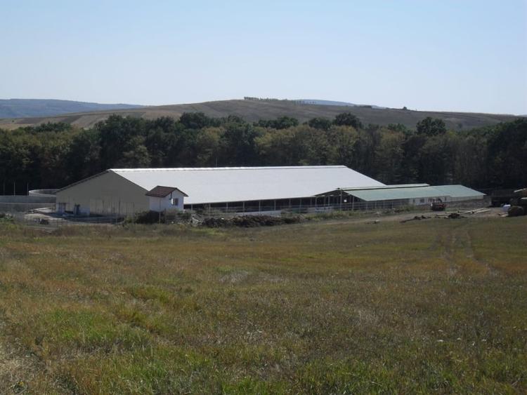Ferma Zootehnica la standarde Europene - 12