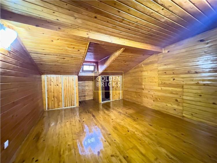 Pache Protopopescu | PROTV | Vizibilitate |  Curte 250 mp | Garaj - 26