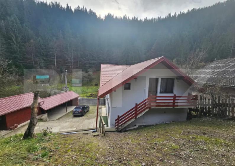 Lini?te, Natura ?i Spa?iu Casa Ideala cu 6 camere, - 11