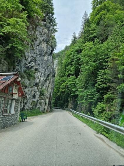teren de vanzare la munte pentru  cabana - 9