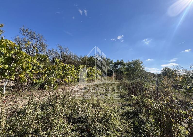 Casa individuala , 3 camere,acces auto,crama,garaj,teren ... - 3