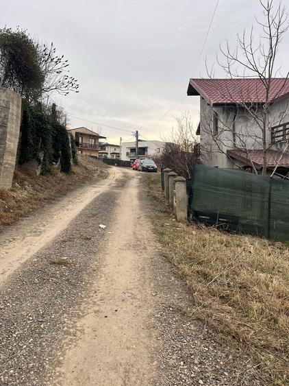 Pf Vand Teren Hlincea manta Rosie 600 mp intravilan - 6