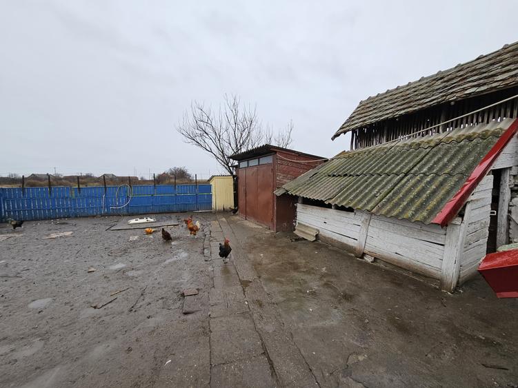 Casă individuală, cu 3 camere, în localitatea Ivanda, la 30 km de Timișoara - 20