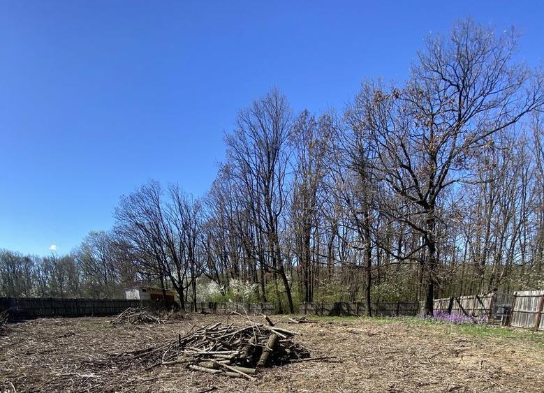 Teren de vis langa Pitesti - 6