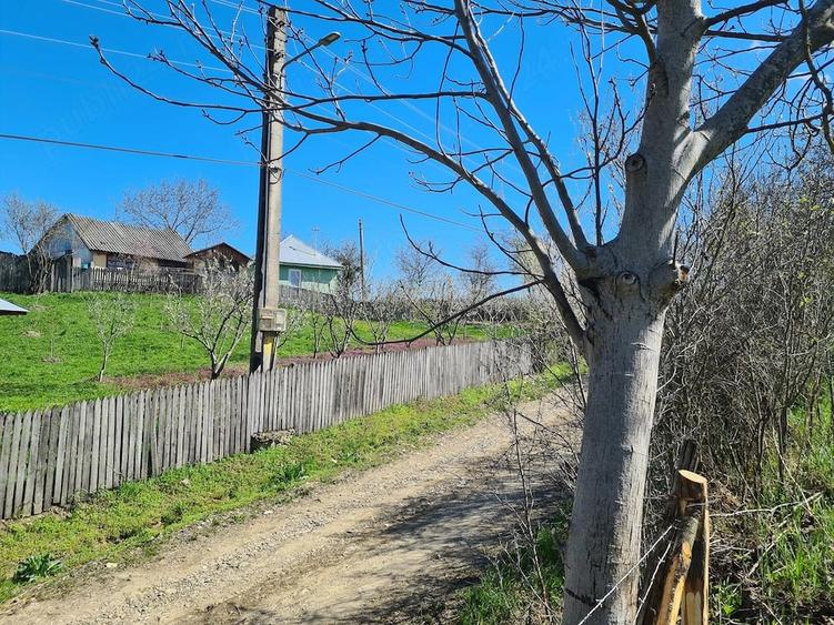 Vand teren in Com . Dumitresti, Jud. Vrancea - 10