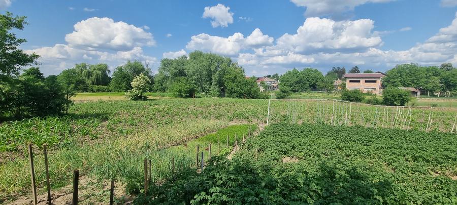 Casa renovata cu 2857mp teren Liceul Pedagogic - 12