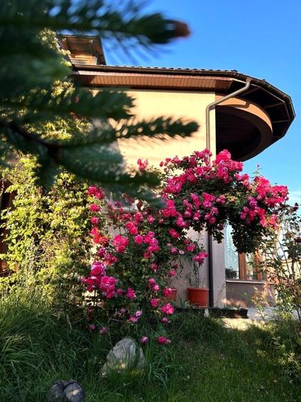 Vila 11 camere de vanzare in Navodari, zona Vest - 10