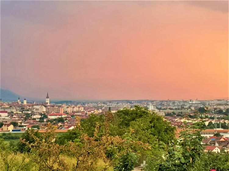 Casa Individuala Gusterita - 1