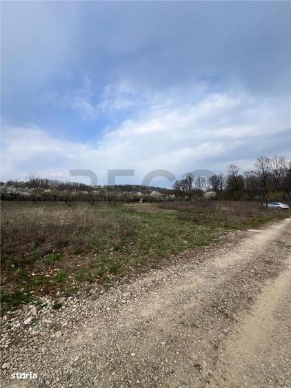 RECO Teren Paleu - 5