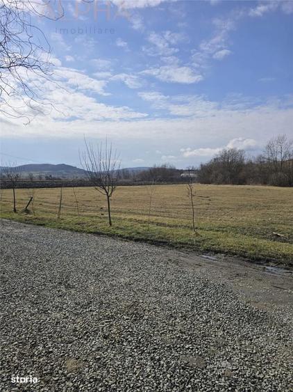 Afacere La Cheie Hala Productie + Sera Profesionala - 2